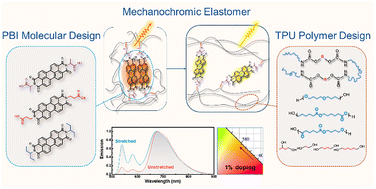 Graphical abstract: Controllable mechanochromic responses in fluorescent elastomers via perylene bisimide aggregation engineering
