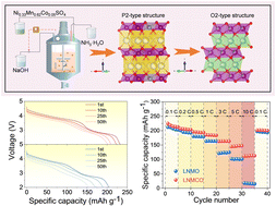 Graphical abstract: Tuning the rate performance in O2-type layered manganese-based oxides through cobalt doping