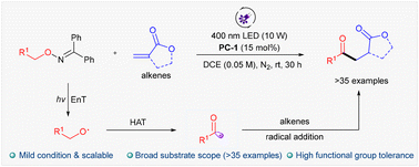 Graphical abstract: Visible-light-induced energy-transfer-mediated hydroacylation of alkenes with alcohol-derived oximes