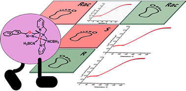 Graphical abstract: Chirality without compromise: identical spin crossover behavior between the racemate and the enantiopure Fe(ii) complexes