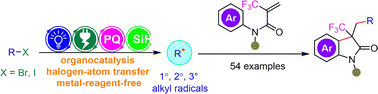 Graphical abstract: Photoelectrocatalytic XAT strategy for the generation of alkyl radicals to synthesize alkylated 3-CF3-2-oxindoles