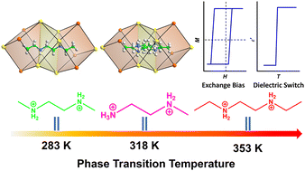 Graphical abstract: Organic ammonium modulated mixed-valence multiferroics exhibiting large spontaneous strain and exchange bias