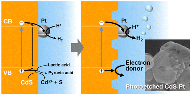 Graphical abstract: Morphology optimization of a CdS–Pt photocatalyst by photoetching for hydrogen production with high quantum efficiency