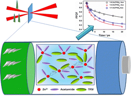 Graphical abstract: Ultrafast Zn2+ solvation dynamics unmask a hopping mechanism in eutectic battery electrolytes