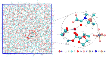 Graphical abstract: Constructing stable solid electrolyte interfaces and facilitating Li transport via an electrolyte additive for lithium metal batteries