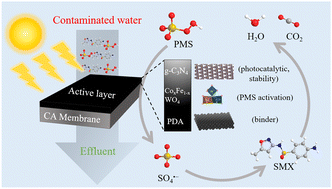 Graphical abstract: One-pot synthesis of a polydopamine-glued g-C3N4/CoxFe1−xWO4 membrane for synergistic photocatalytic water purification