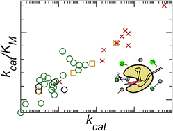 Graphical abstract: Engineering guidelines for CRISPR diagnostics
