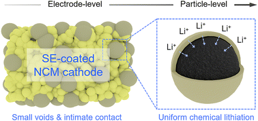 Graphical abstract: High-voltage stability of sulfide-based all-solid-state batteries: benefit of the parasitic reaction