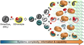 Graphical abstract: Information-rich sensors by assembly: a review on the use of macrocyclic hosts in the context of complex chemical systems
