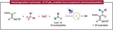 Graphical abstract: Dehalogenation hydrolysis of CF2Br2 enables four-component aminocarbonylation via photocatalytic radical-polar crossover