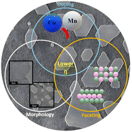 Graphical abstract: Faceted NiO(111) nanosheets: morphological and catalytic evolution for the oxygen evolution reaction
