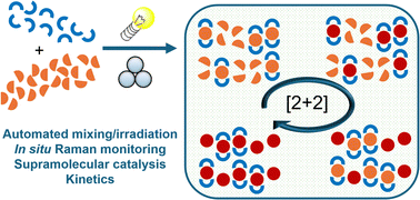 Graphical abstract: Less is more? Probing the template amount required for solid-state olefin [2 + 2] photocycloaddition in a ball mill