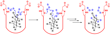 Graphical abstract: Size- and shape-selective substrate deuteration catalyzed by a water-soluble synthetic receptor