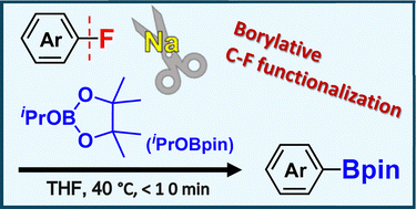 Graphical abstract: Transition-metal–free borylative functionalization of aryl fluorides with boron alkoxide in the presence of sodium dispersion