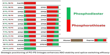 Graphical abstract: Systematic evaluation of 2′-O-methyl RNA antisense oligonucleotides with limited phosphorothioate linkages for efficient splice switching