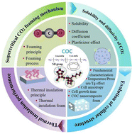 Graphical abstract: Advancements in thermally insulating cyclic olefin copolymer cellular foams via supercritical fluid foaming: a review