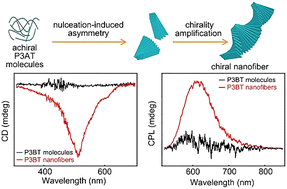 Graphical abstract: Chiral emergence in the self-assembly of achiral poly(3-alkylthiophene)s