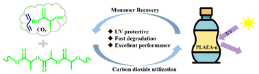 Graphical abstract: Synthesis of a CO2-based polyester for remarkably improving the toughness, UV-resistance and degradability of bio-based polylactic acid