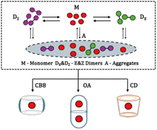 Graphical abstract: Supramolecular confinement as a tool to control the dynamic molecular assembly of o-nitrosocumene in water