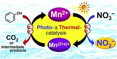 Graphical abstract: Photo- and thermal catalysis of nitrate to nitrite by manganese ions under light up to 600 nm