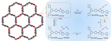 Graphical abstract: Atomic zinc active sites on imine-pyridine based covalent organic frameworks for enhancing photocatalytic H2O2 production