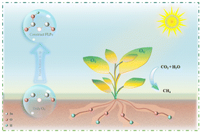 Graphical abstract: Bottom-up construction of surface frustrated Lewis pairs on FeOOH-modified In2O3−x for enhanced photocatalytic CO2 reduction