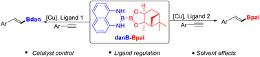 Graphical abstract: Cu-catalyzed selective coupling of alkynes with danB–Bpai