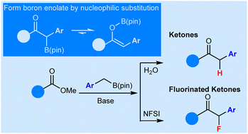 Graphical abstract: Synthesis of ketones and mono-fluoro ketones via boron enolates formed by substitution of esters with benzylboronic esters