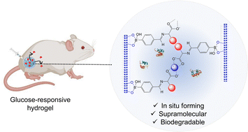 Graphical abstract: Amino acid-modified G-quartet hydrogel for glucose-responsive insulin release in vivo