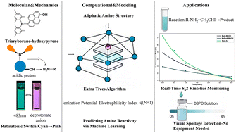Graphical abstract: A data-driven fluorescent platform for monitoring amine dynamics in reactions