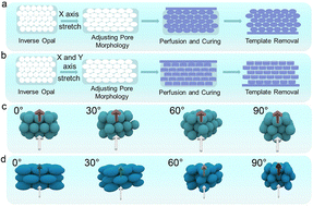 Graphical abstract: Controllable preparation and orientation-dependent retroreflective structural color properties of anisotropic colloidal photonic crystals
