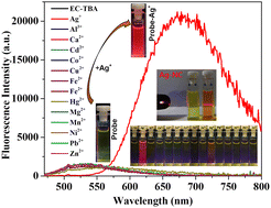 Graphical abstract: Turn-on ratiometric Ag+ sensing aids in situ synthesis of NIR emissive silver nanoclusters