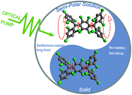 Graphical abstract: From solution to thin films: unravelling excited-state behaviour in halogenated diradicaloids