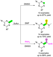Graphical abstract: Diversity-oriented transformation of methyl triazine via sulfur-mediated pathways: access to 2,4-disubstituted triazines functionalized with thioamides and amides