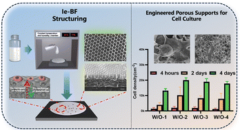 Graphical abstract: Multi-layered porous poly(lactic acid) films with integrated RGD biofunctionalization and a tunable architecture for cell culture
