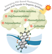 Graphical abstract: Emerging perylene diimide-based photocatalysts: status and trends in organic synthesis