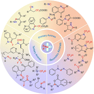 Graphical abstract: Multifaceted reactions of difluorocarbene with amines: synthesis and mechanistic insights