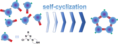 Graphical abstract: One-pot synthesis of novel triazine/piperazine-based macrocycles and investigation of their porous properties
