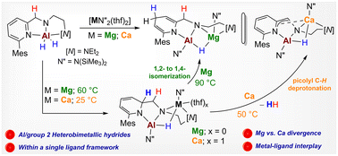Graphical abstract: Intriguing metal–ligand interplays leading to diverse Al–H–M (M = Mg, Ca) heterobimetallic hydrides based on a picolyl-based 3N ligand