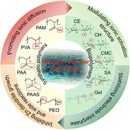 Graphical abstract: Recent advances in hydrogel polymer electrolytes for stable zinc metal anodes