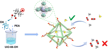 Graphical abstract: One-step synthesis of porous ionic liquids via proton transfer for natural gas purification