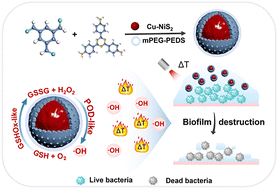 Graphical abstract: Core–shell covalent organic framework-copper nickel disulfide nanoreactors for the synergistic treatment of wound infections