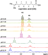 Graphical abstract: Are the pKa values of free fatty acids in aqueous solution abnormally high? An NMR and computational perspective
