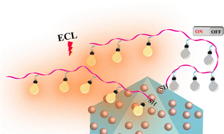 Graphical abstract: A multiple signal-amplified electrochemiluminescence biosensor for ultrasensitive detection of bladder cancer-associated circRNA in urine