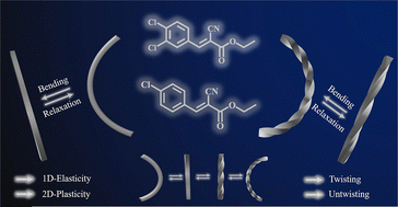 Graphical abstract: Reversible twisting-induced crystalline–polycrystalline transformation in cyanoacrylate crystals