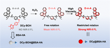 Graphical abstract: An ROS/viscosity dual-activated nanoprobe with CD44-targeting ability for NIR-II imaging of early atherosclerotic plaques