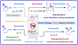 Graphical abstract: Recent advances in transition-metal-free deconstructive functionalization of saturated N-, O-, P-, and S-heterocycles