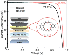 Graphical abstract: Crown ether-based interface modification for inverted perovskite solar cells with enhanced efficiency and stability