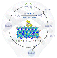Graphical abstract: A Mo2C–MoP heterostructure enabled catalytic route for high-performance lithium–sulfur batteries