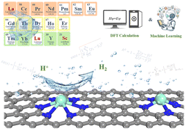 Graphical abstract: Machine learning high-throughput screening of rare earth SACs with different coordination environments for the HER